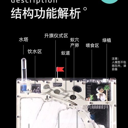 蚂蚁城堡蚂蚁生态箱蚂蚁窝城堡蚂蚁巢穴送蚁后学生观察繁殖免安装
