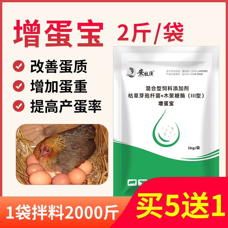 蛋多多增蛋宝鸡鸭鹅兽禽通用鸽子鹦鹉催蛋芦丁鸡饲料添加剂产蛋王