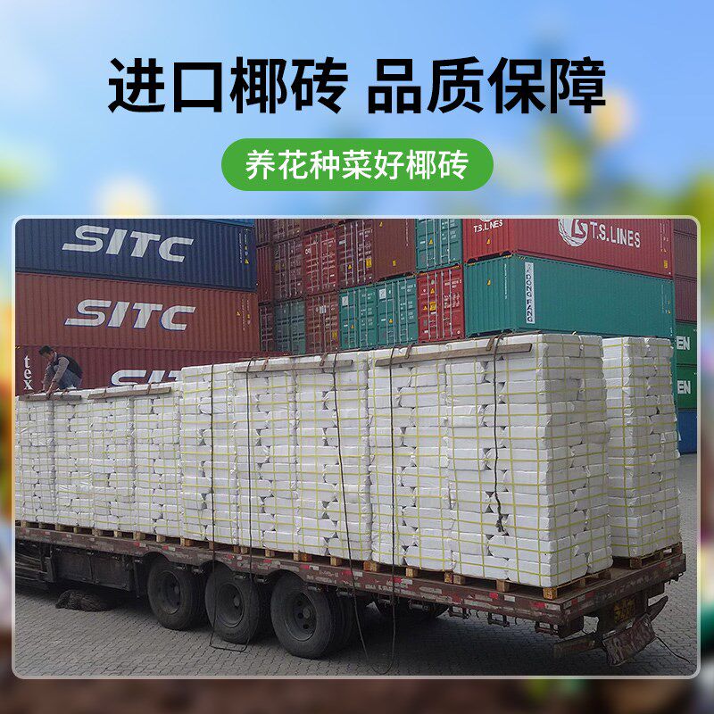 椰糠椰砖营养土养花通用型大块脱盐椰土种菜土壤粗椰壳椰砖批 发
