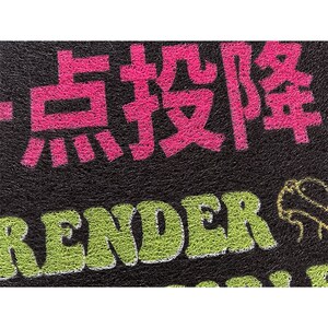 尽量晚一点投降 丝圈地垫地毯入户进门 公社计划经济部