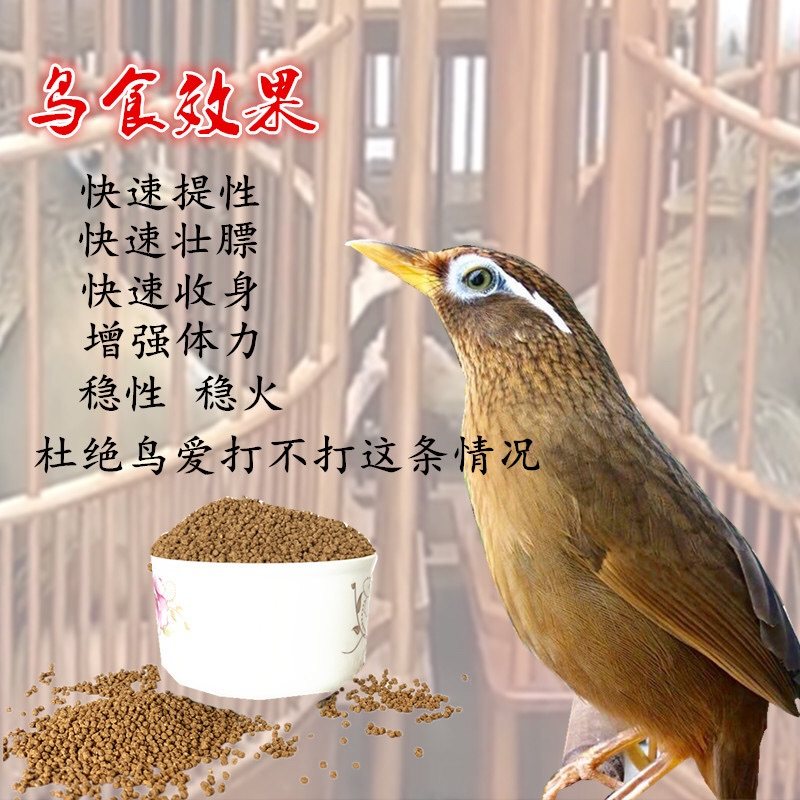 劲抽鸟食画眉饲料打口料打斗料营养提性收身壮膘换毛