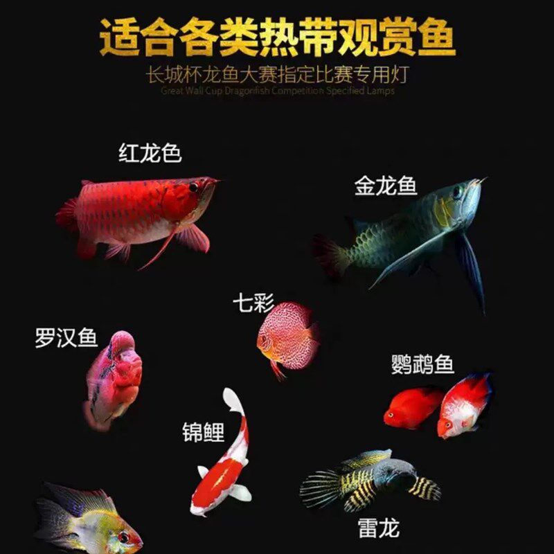马印神灯三基色鱼缸灯适用于龙鱼红鱼增艳增色不红水LED灯