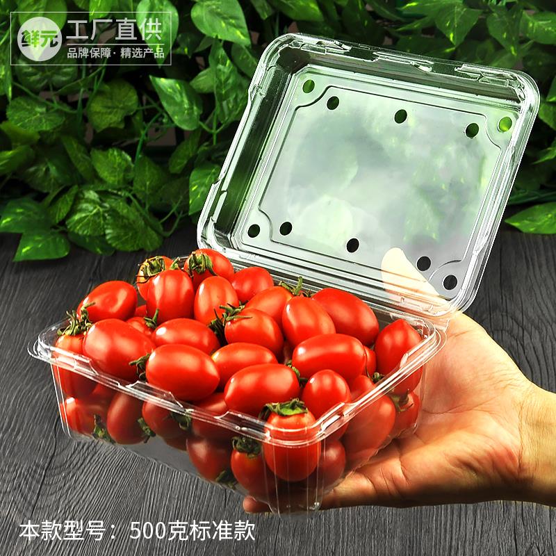 一斤装水果包装盒 一次性水果盒子 草莓盒 透明塑料500克樱桃盒