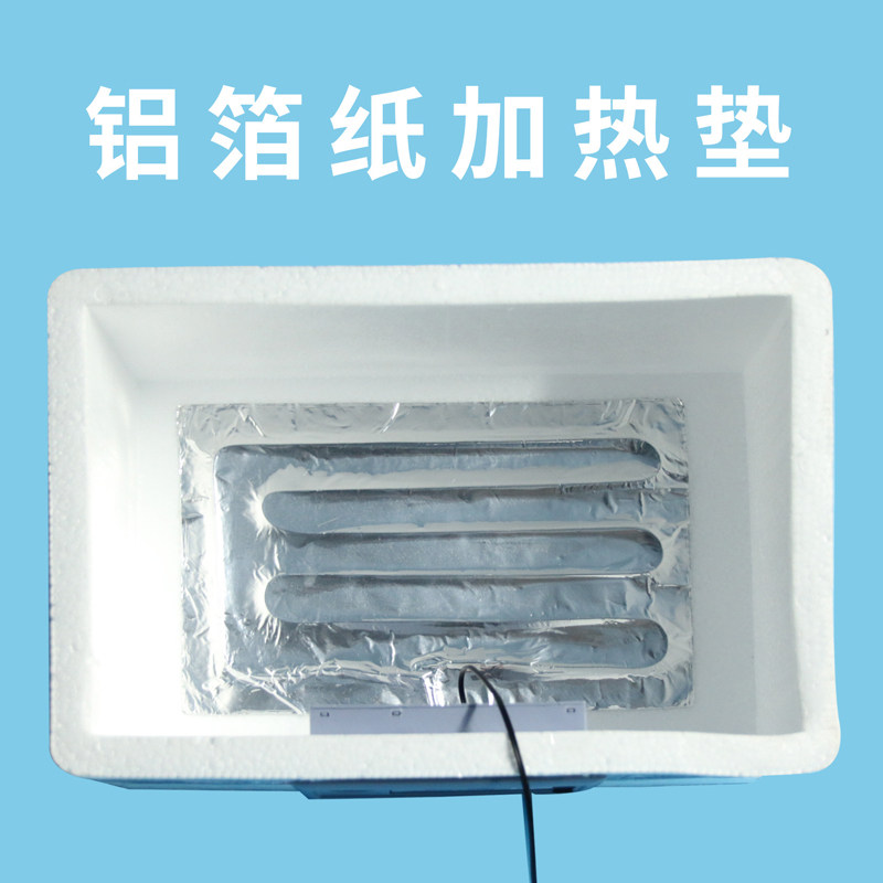 家用型鸡鸭鹅受精蛋小型孵化器全自动控温50枚鹌鹑种蛋水床孵化机