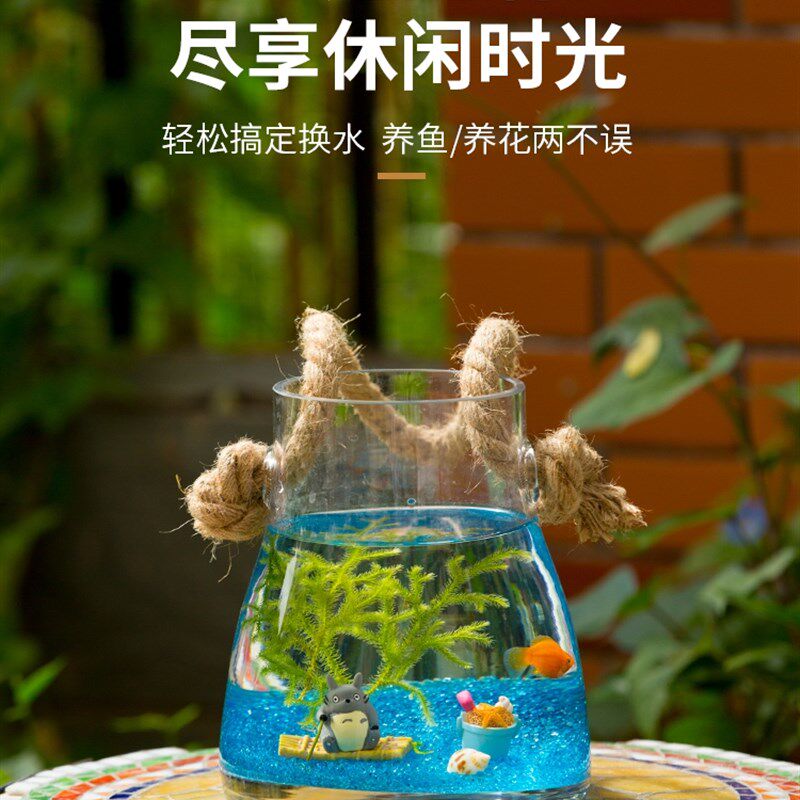 吊挂室外鱼缸客厅小型壁挂金鱼缸玻璃水族箱生态造景装饰创意鱼缸
