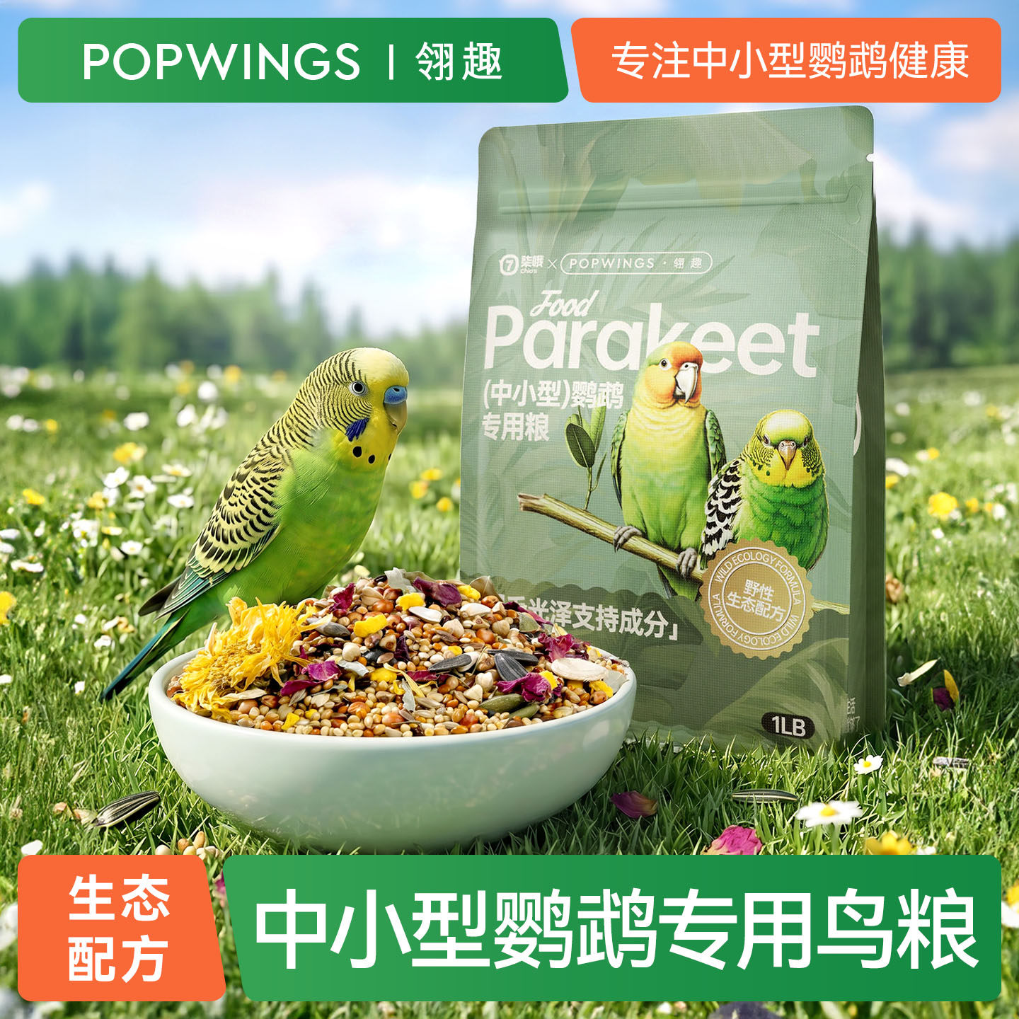 中小型鹦鹉鸟粮鸟食种子粮