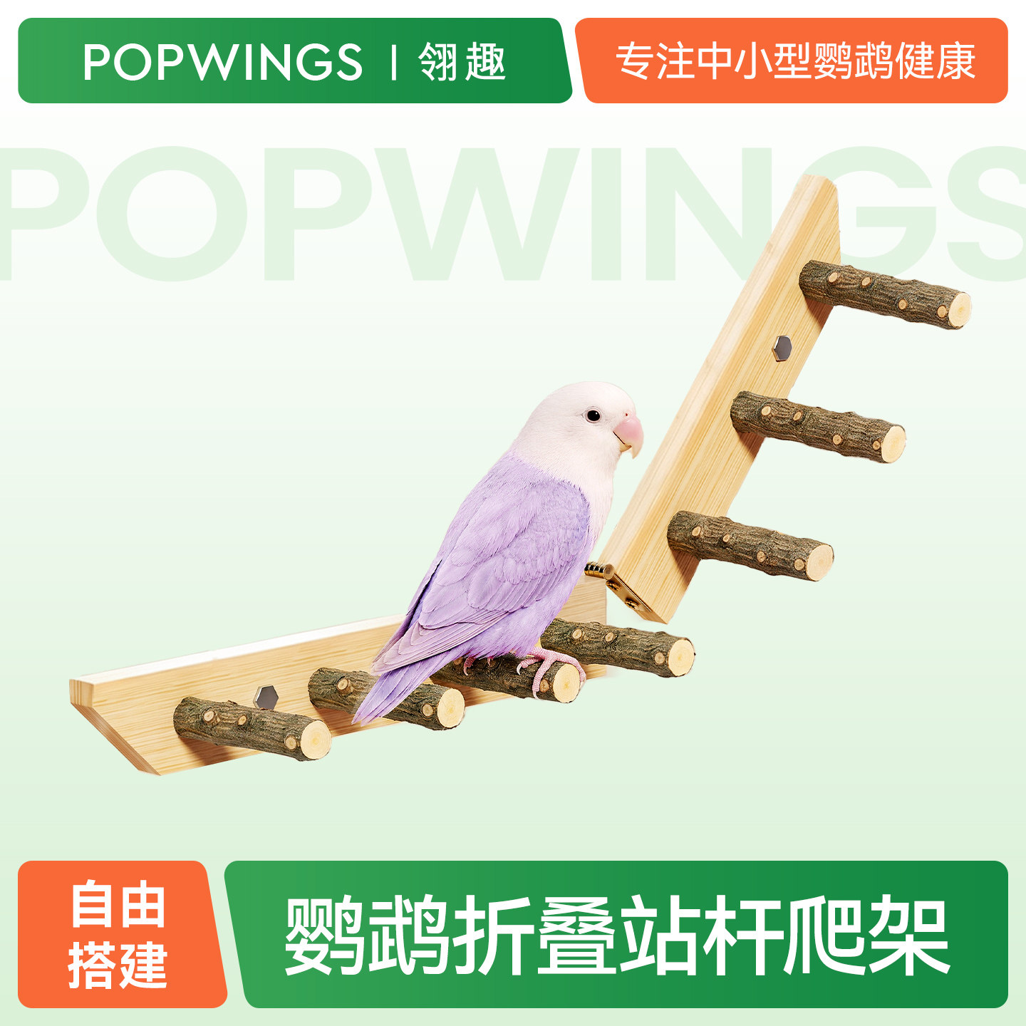 百搭鹦鹉攀爬站杆娱乐玩耍磨爪喙图片
