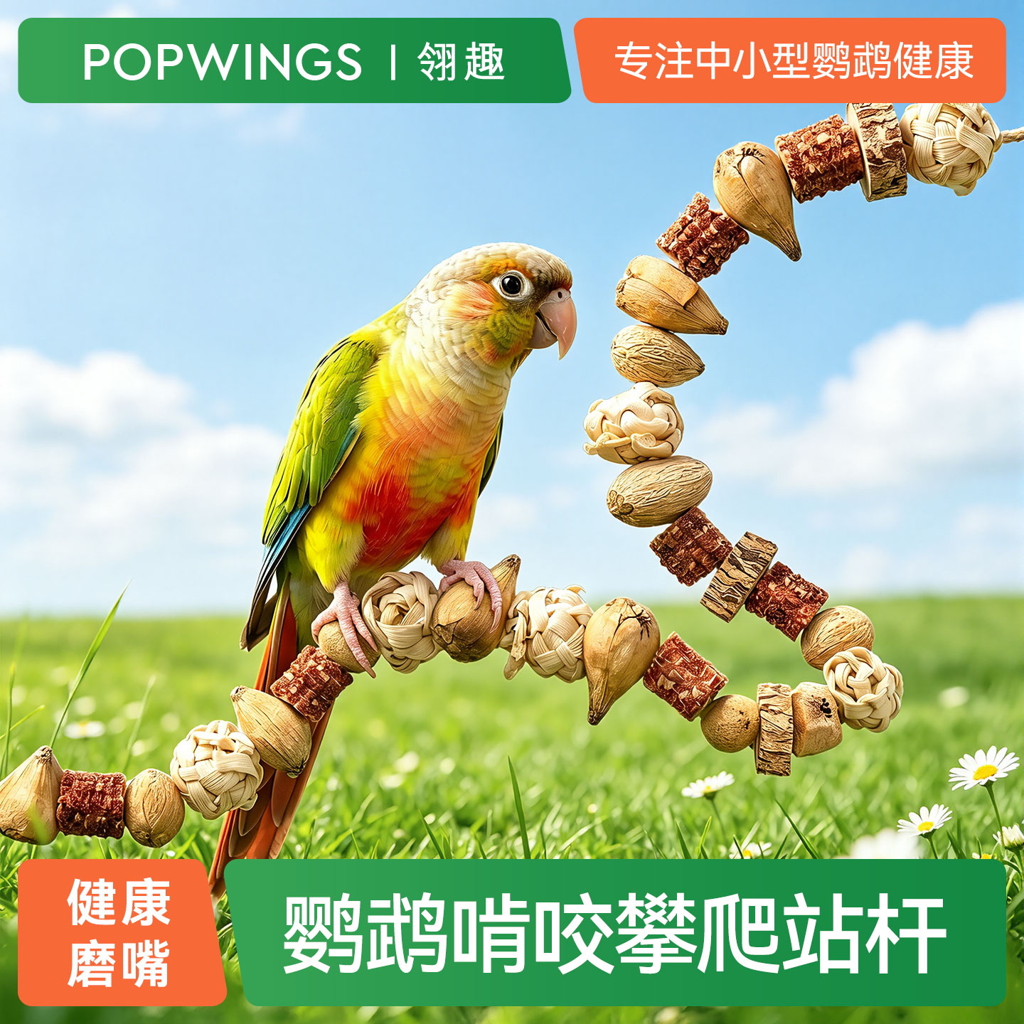 鹦鹉玩具站杆攀爬磨嘴解闷自嗨啃咬挂串秋千架牡丹小太阳鸟笼用品
