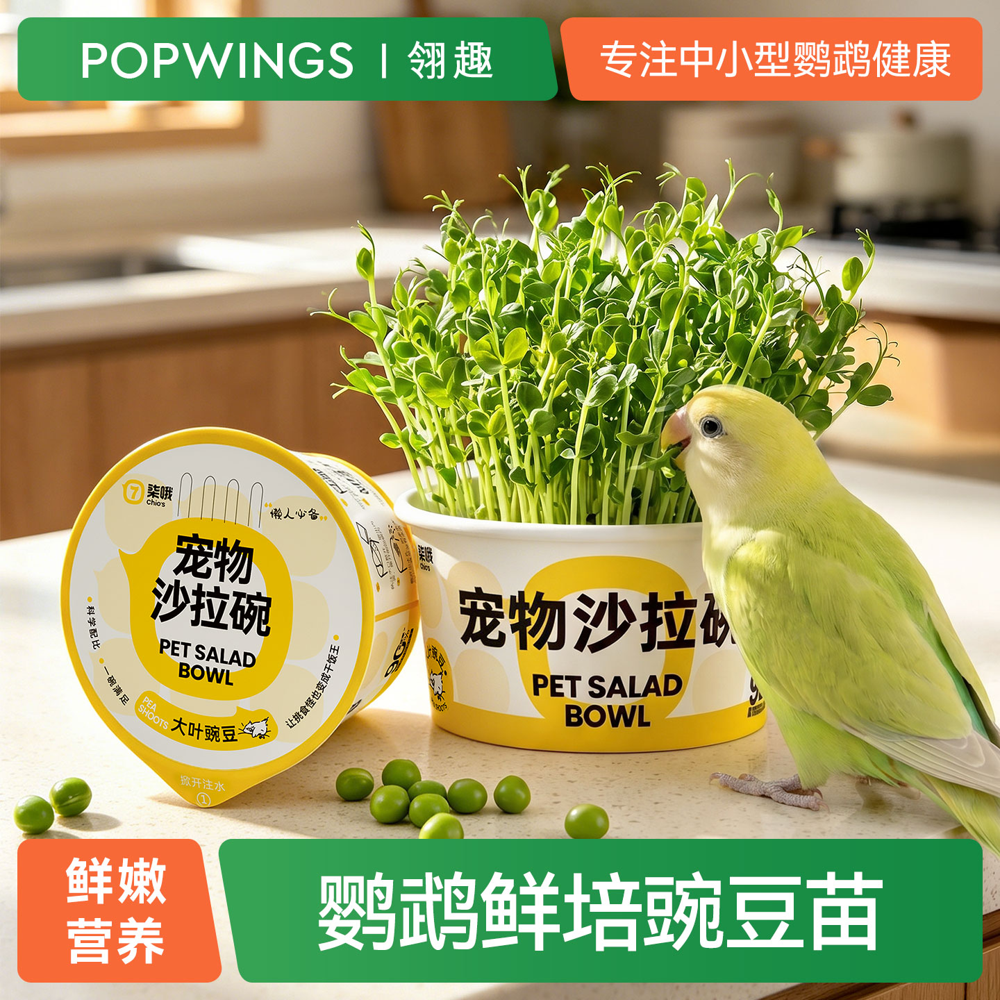 鹦鹉豌豆苗天然鸟玩具大麦草啃咬解闷蔬菜中小型鹦鹉宠物沙拉碗
