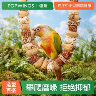 鹦鹉玩具站杆攀爬磨嘴解闷自嗨啃咬挂串秋千架牡丹小太阳鸟笼用品