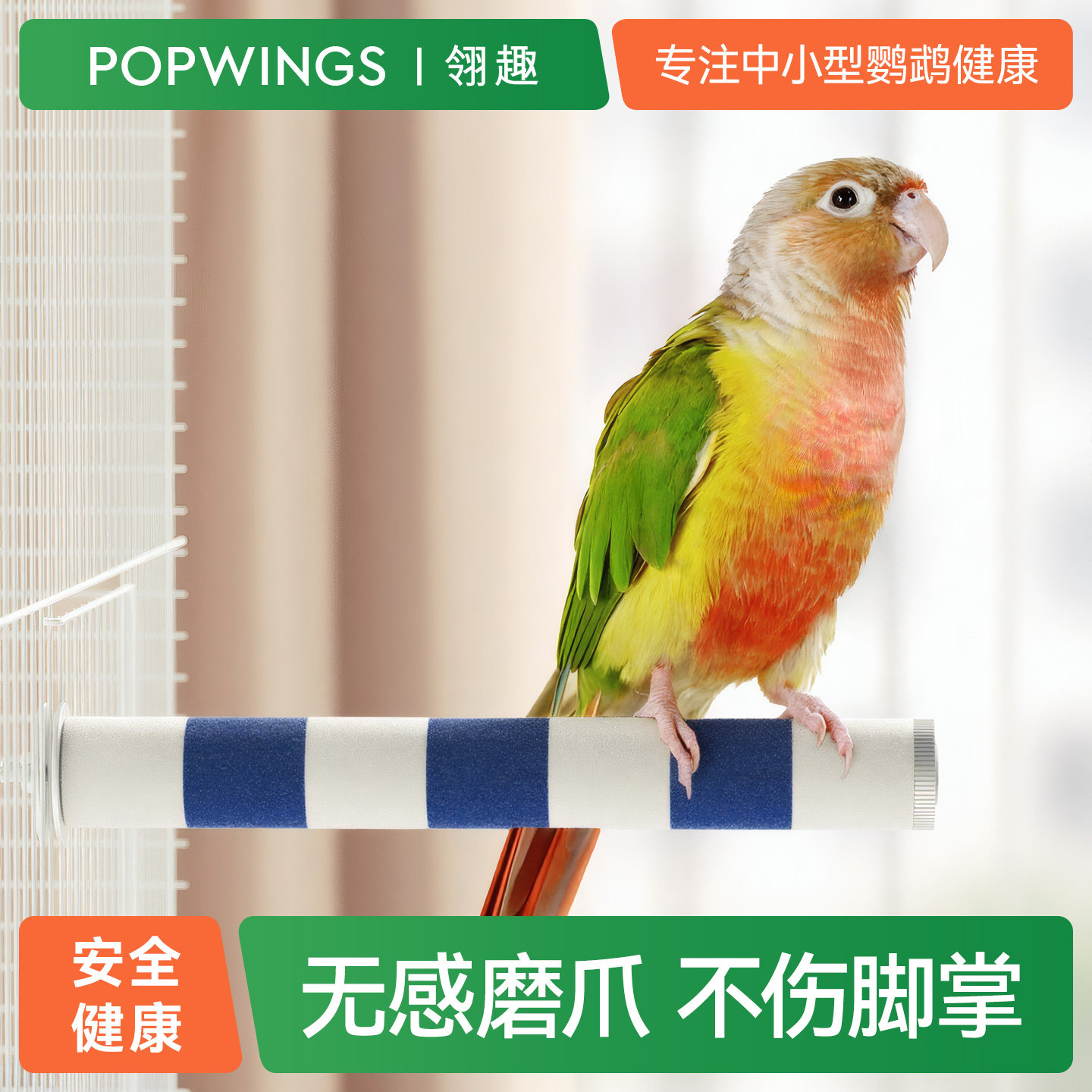 【网红同款】鹦鹉双拼磨砂站杆图片