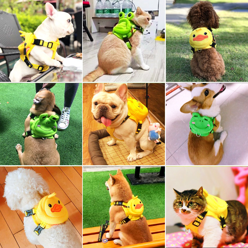 狗狗书包猫背包萌宠胸背带牵引绳宠物小背包小型犬胸前自背包外出
