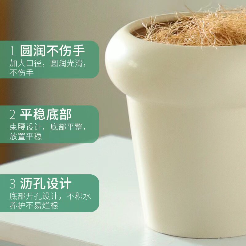 发财树盆栽室内植物长寿花文竹芦荟金枝玉叶办公室绿植好养活四季