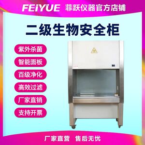 菲跃二级生物安全柜超洁净100级无菌工作台实验室设备