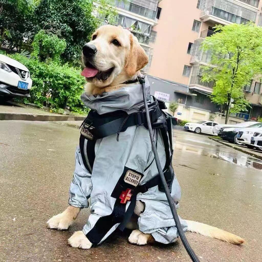 狗狗反光雨衣冲锋衣中大