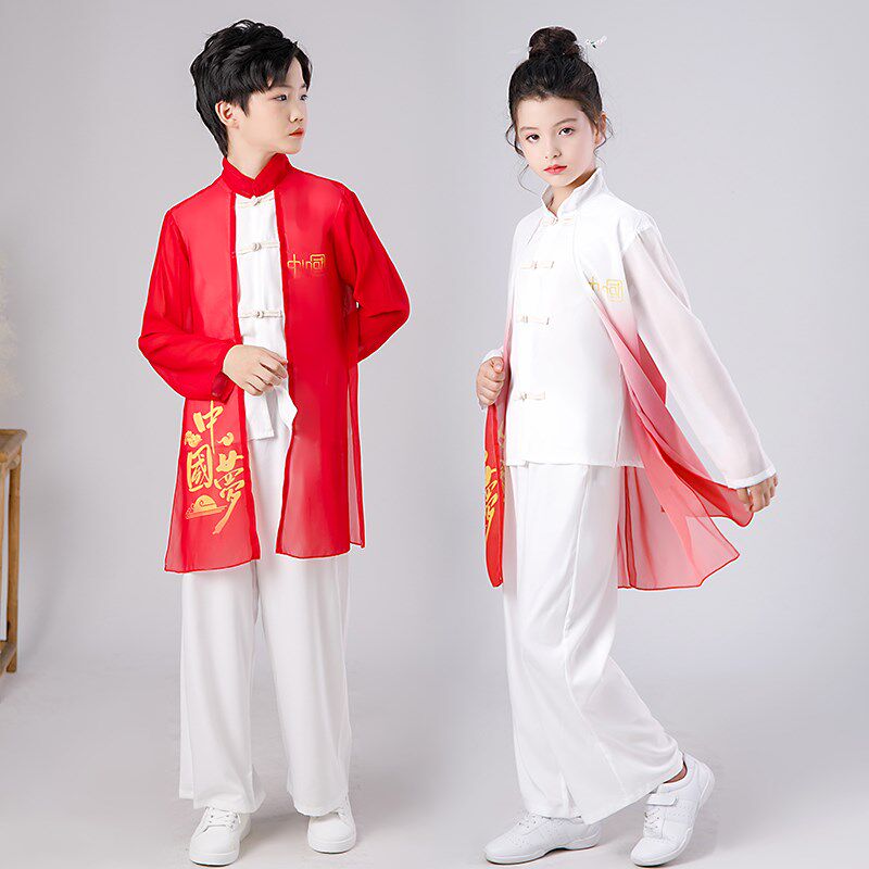 儿童武术表演中小学生功夫扇八段锦少年中国说古筝演出少儿太极服
