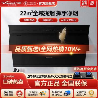 J738A抽油烟机家用厨房侧吸式自清洗挥手智控500Pa静音22M³
