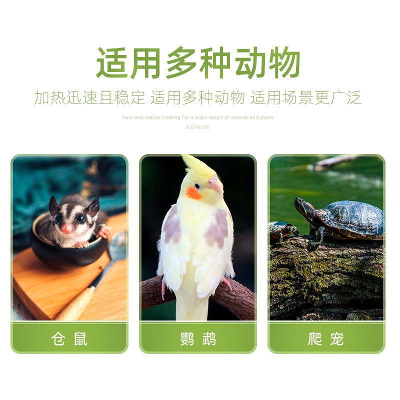 鹦鹉加热灯乌龟保温灯蜜袋鼯保暖灯刺蝟无光陶瓷灯宠物爬虫保温箱