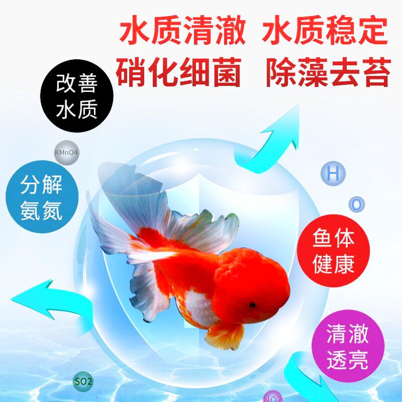 水质净化鱼缸硝化菌细菌水族净水剂杀菌除臭澄清澈稳定剂活菌鱼药