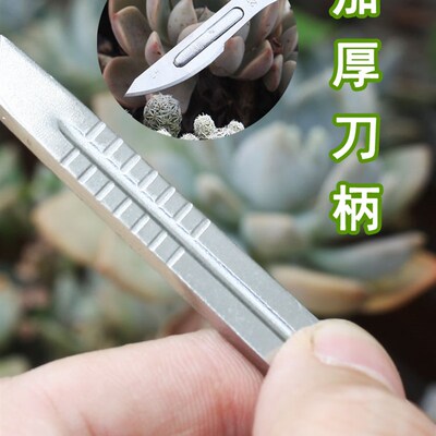 园艺多肉嫁接刀芽接刀植物砍头刀月季分株工具手工果树修枝刀包邮