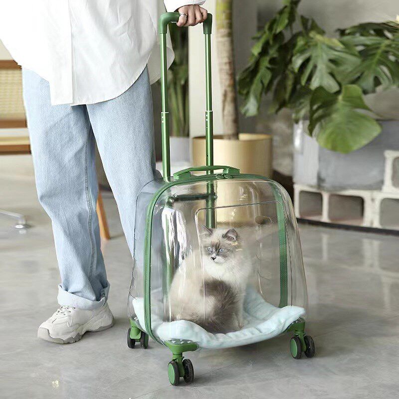 猫咪外出拉杆箱小狗狗太空舱透明便携背包春夏季大容量猫包宠物包