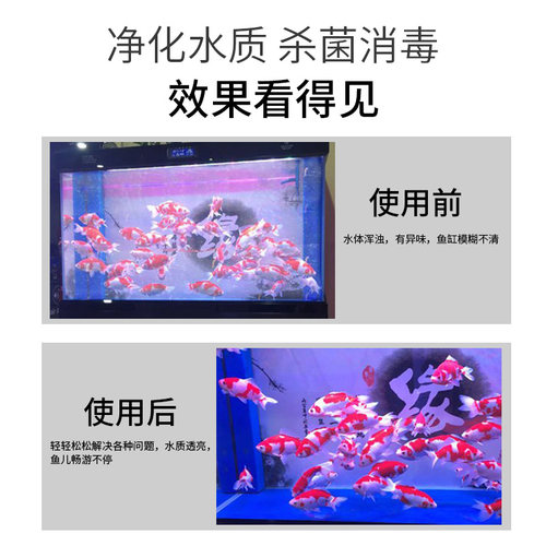 魔立净滤材鱼缸水族箱鱼缸过滤材料魔幻磁力宝神奇净水宝魔力宝