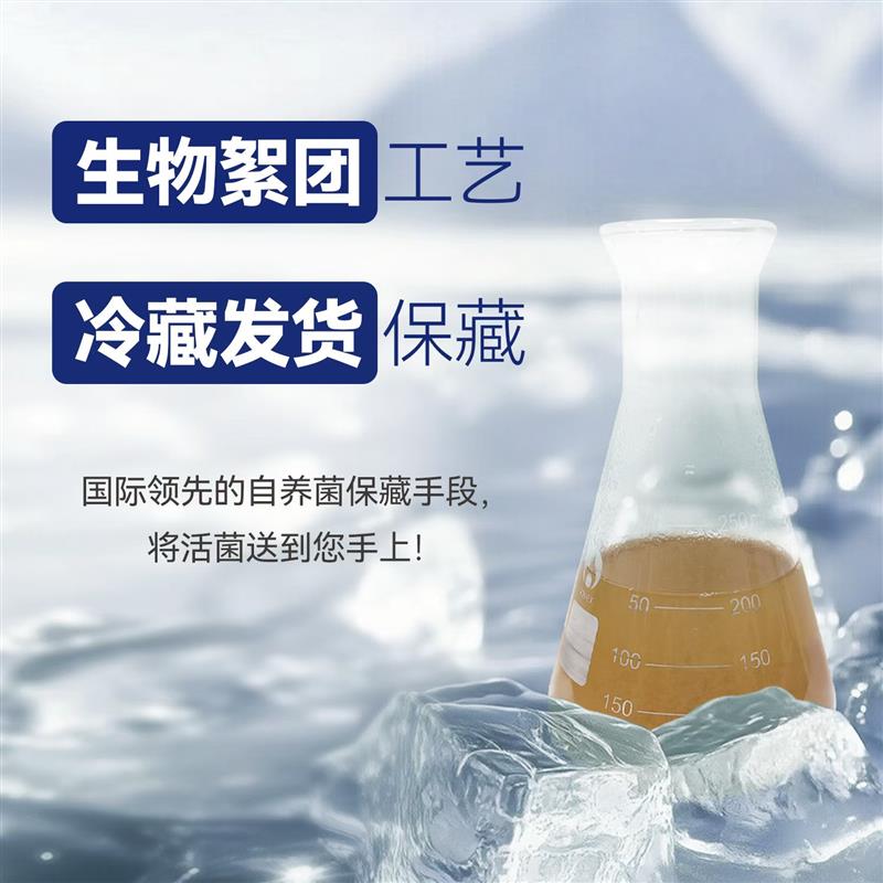 鱼你水之国自养亚硝酸盐去除菌高速率超浓缩鱼缸水族专用硝化细菌图片