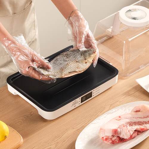 快速解冻神器家用多功能解冻机板盘食物保全自动鲜商用化冻神器