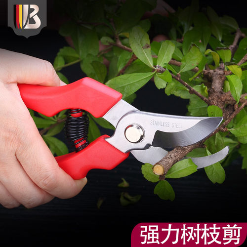 花剪园艺剪刀果树修枝剪刀粗强力大园艺剪子摘菜茶叶花园家用省力