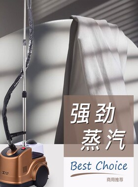 域桥挂烫机大功率蒸汽熨斗服装店家用YQCU001-D02铜芯2000瓦商用