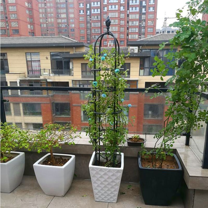园之助爬藤架铁线莲架月季玫瑰架花盆支架阳台花卉柱形花架