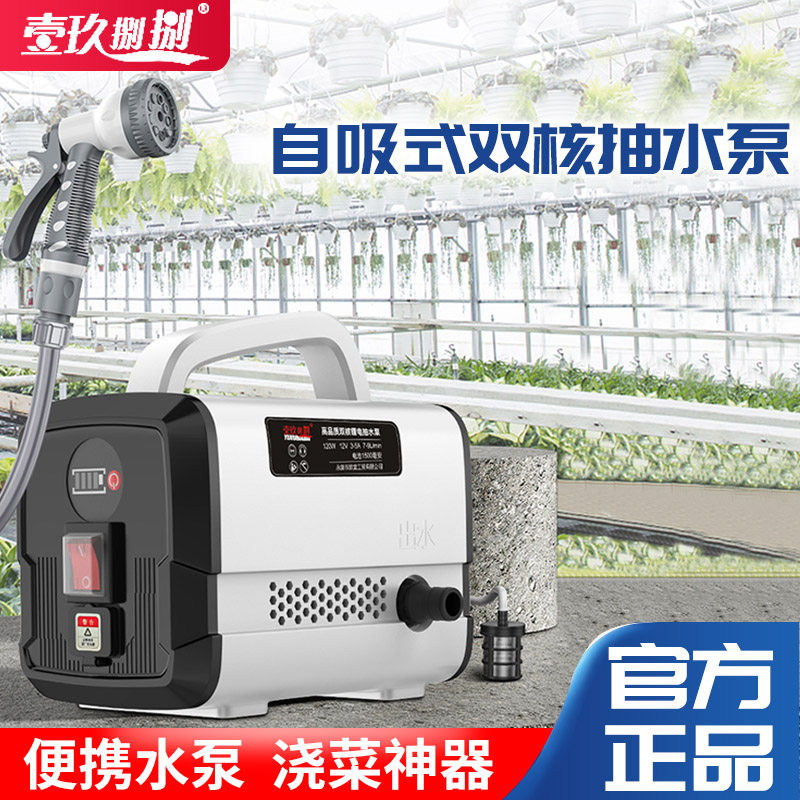 水泵浇菜神器家用锂电抽水机直流充电浇地便携手提式农村用灌溉