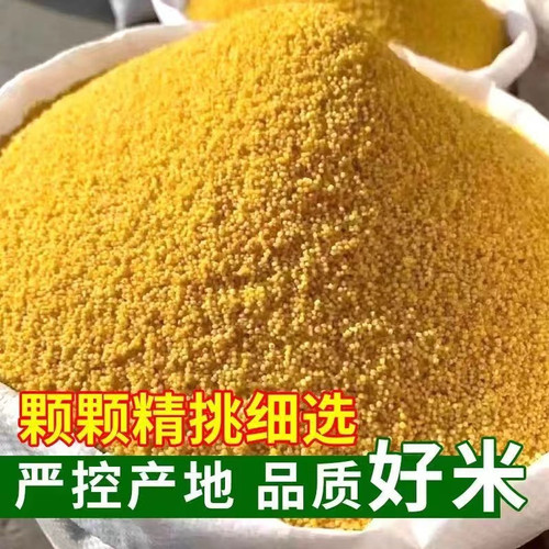 黄小米新鲜农家小米颗粒饱满新鲜可做粥早餐小米粥软糯香米黄小米