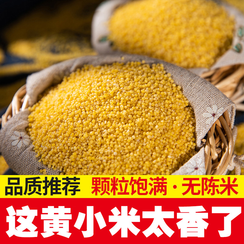 小米黄小米新货颗粒饱满新鲜可做粥早餐小米粥软糯香米黄小米