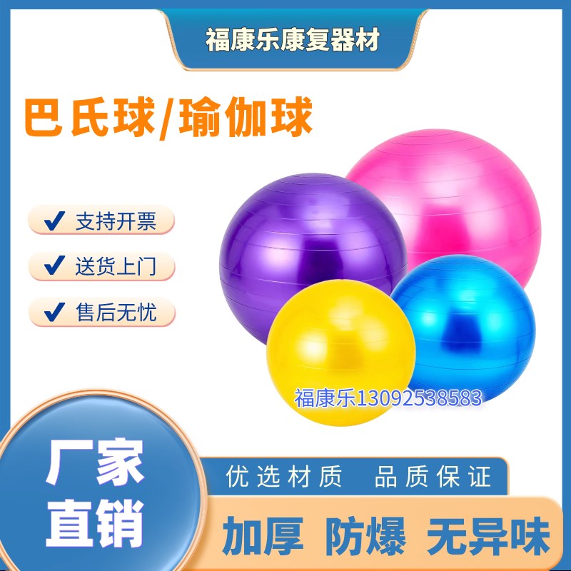 巴氏球 瑜伽球 健身球 成人儿童大龙球 平衡康复训练 感统训练