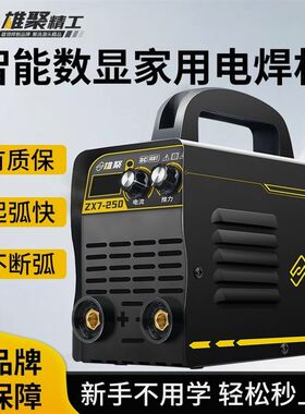 德国进口【外贸尾货处理】电焊机家用220V迷你便携超小型两相智能