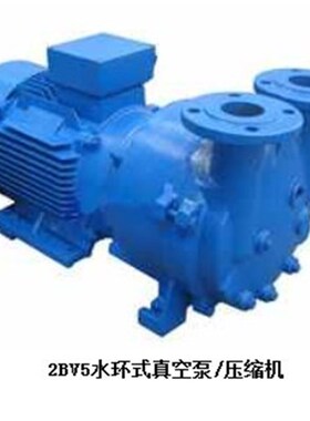 山东淄博产水环式真空泵2BV5111(230立方每小时)