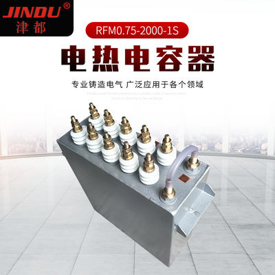 JINDU津电RFM0.75-2000-1S水冷式中频炉电固都容器热定薄膜电容器