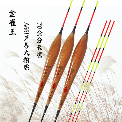 金长王大物芦苇A661浮漂70公分加加黑坑青鱼草鲢鳙雀固防爆顶鱼漂