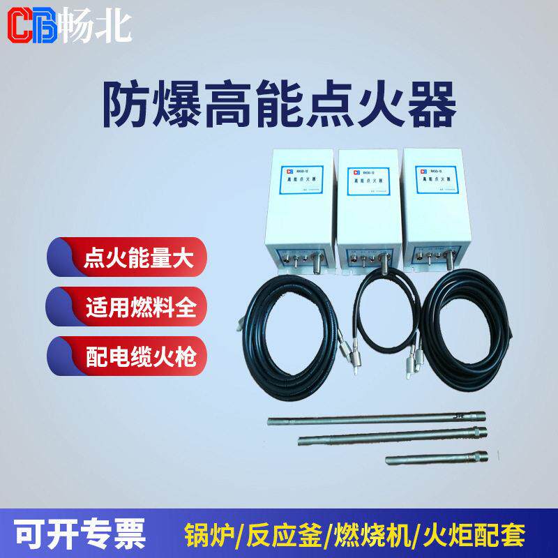 工业炉点火器220V接电输出2500V压脉冲点火器远程能点火器
