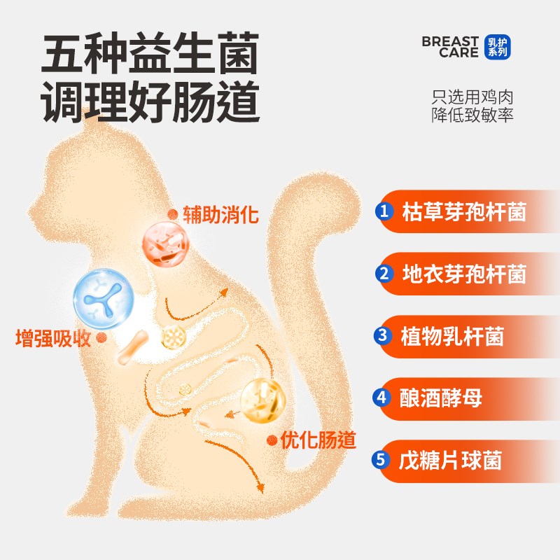小鹿可可乳护系列全价幼猫粮母乳呵护益生菌乳铁蛋白营养低敏鲜肉