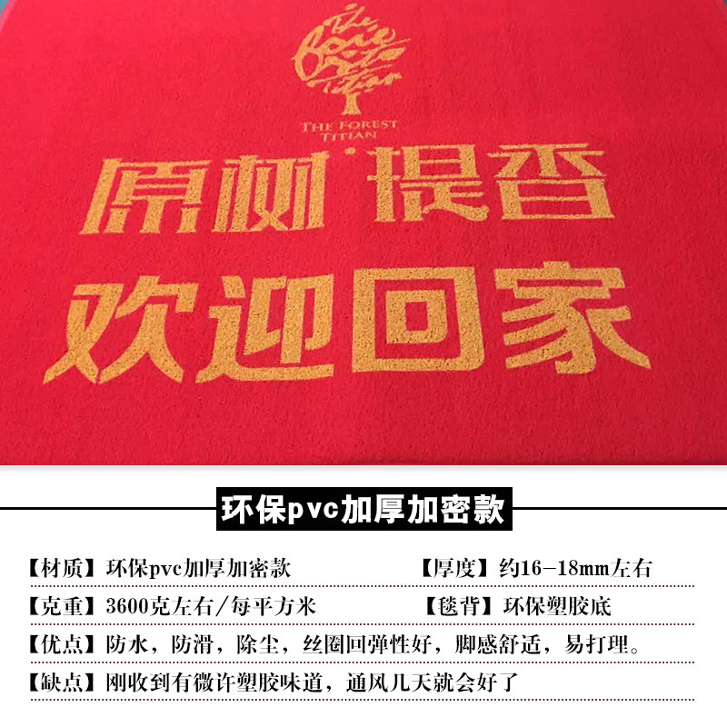 定做logo复杂多色图案地毯酒店迎宾防滑电梯星期地垫商场门口脚垫