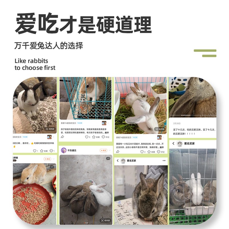 兔粮兔饲料5斤幼成宠物兔子专用粮食侏儒营养饲料颗粒提摩西干草图片
