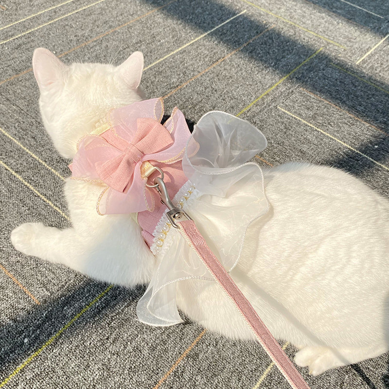 牵猫绳拴猫防挣脱溜猫绳可调节猫带网红猫链子栓猫绳子兔子牵引绳