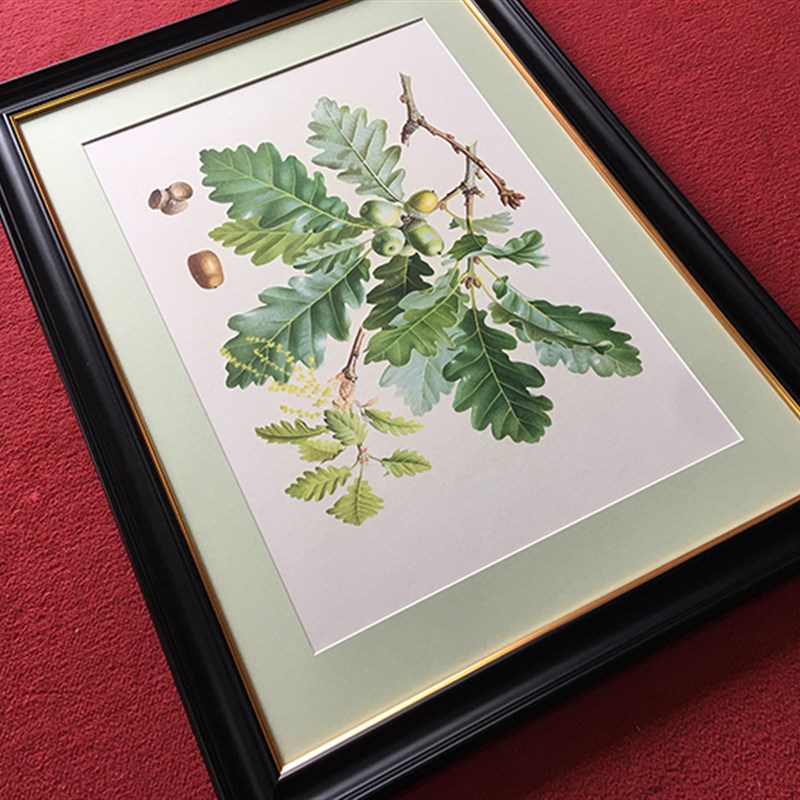 倍丽饰画橡树果实绿叶美式客厅沙发背景餐厅书房玄关家具店装饰画