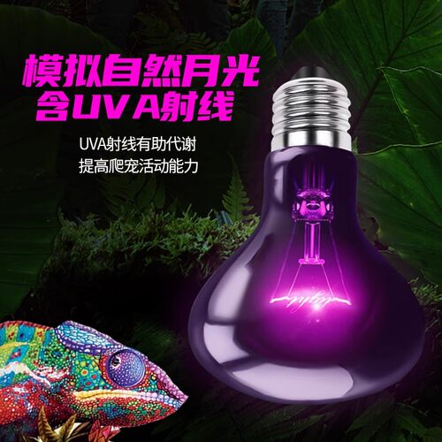 爬宠日灯夜灯陆龟UVA加热灯保温灯蜥蜴箱守宫变色龙月光灯陶瓷灯
