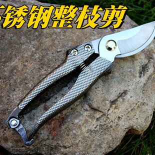 修枝剪园林园艺花枝树枝粗枝葡萄剪不锈钢整枝剪刀摘水果神器工具