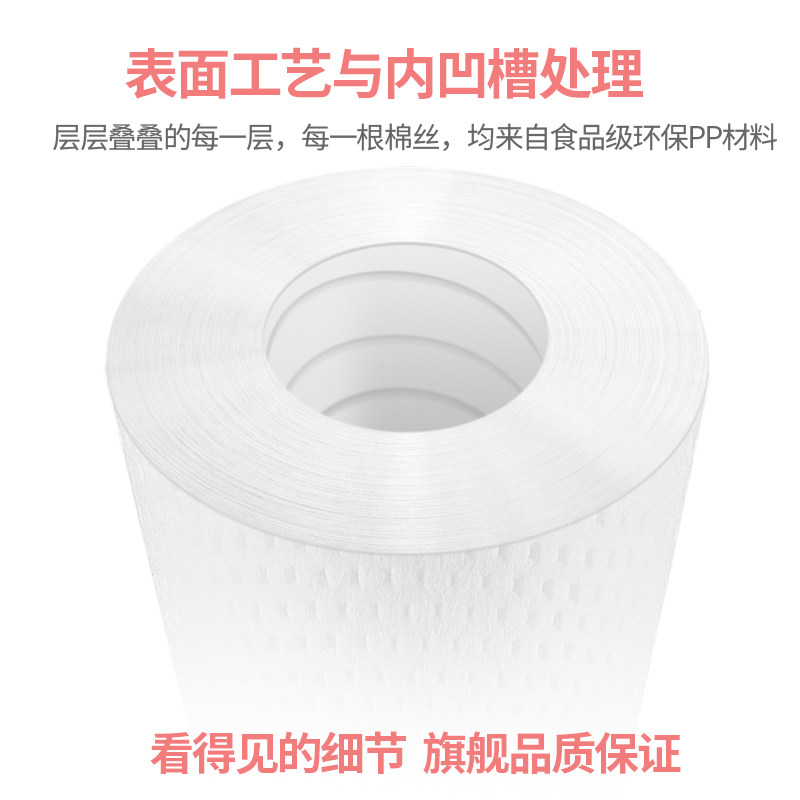 龙巍净水器滤芯通用家用反渗透净水器RO膜活性炭10寸龙巍净水器