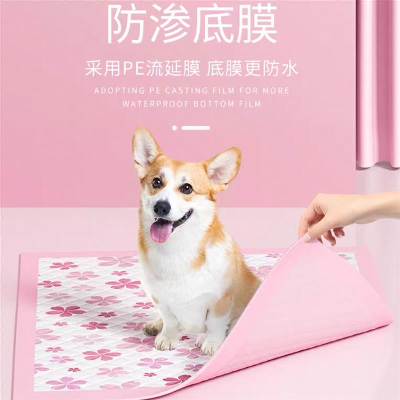 狗狗尿垫大量宠物除臭加厚泰迪比型尿不湿吸水厕所用品加厚猫尿布