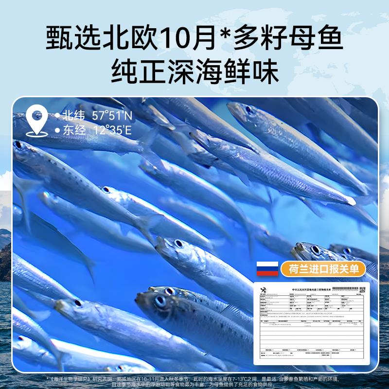 猫咪零食多春鱼冻干小鱼干猫零食拌粮营养磨牙成猫幼猫肉干磨牙棒